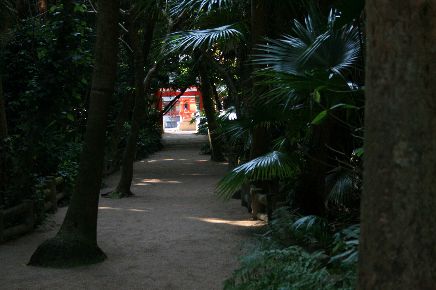 081212_000.jpg