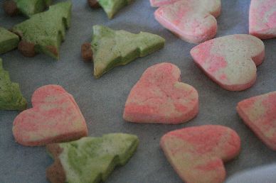 100206_000.jpg