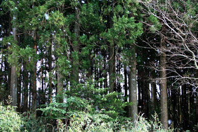 100310_001.jpg