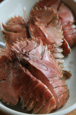 100615_000.jpg