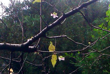 100930_000.jpg