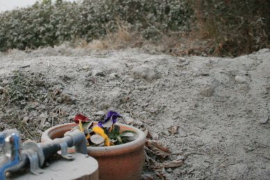 110128_000.jpg