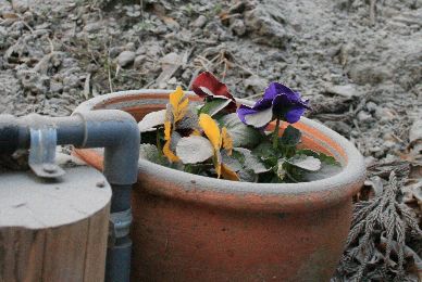 110128_001.jpg