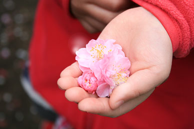 110319_000.jpg