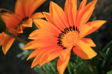 110401_001.jpg