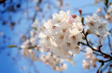 110407_000.jpg