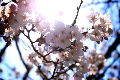 110407_001.jpg