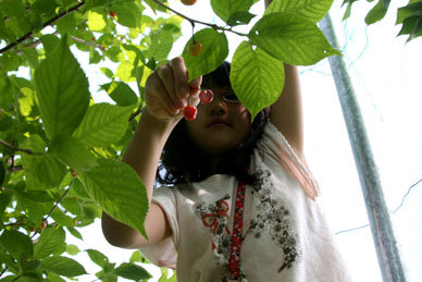 150425_000.jpg