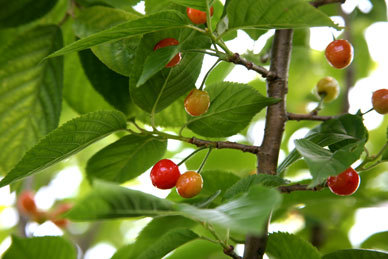 150425_001.jpg